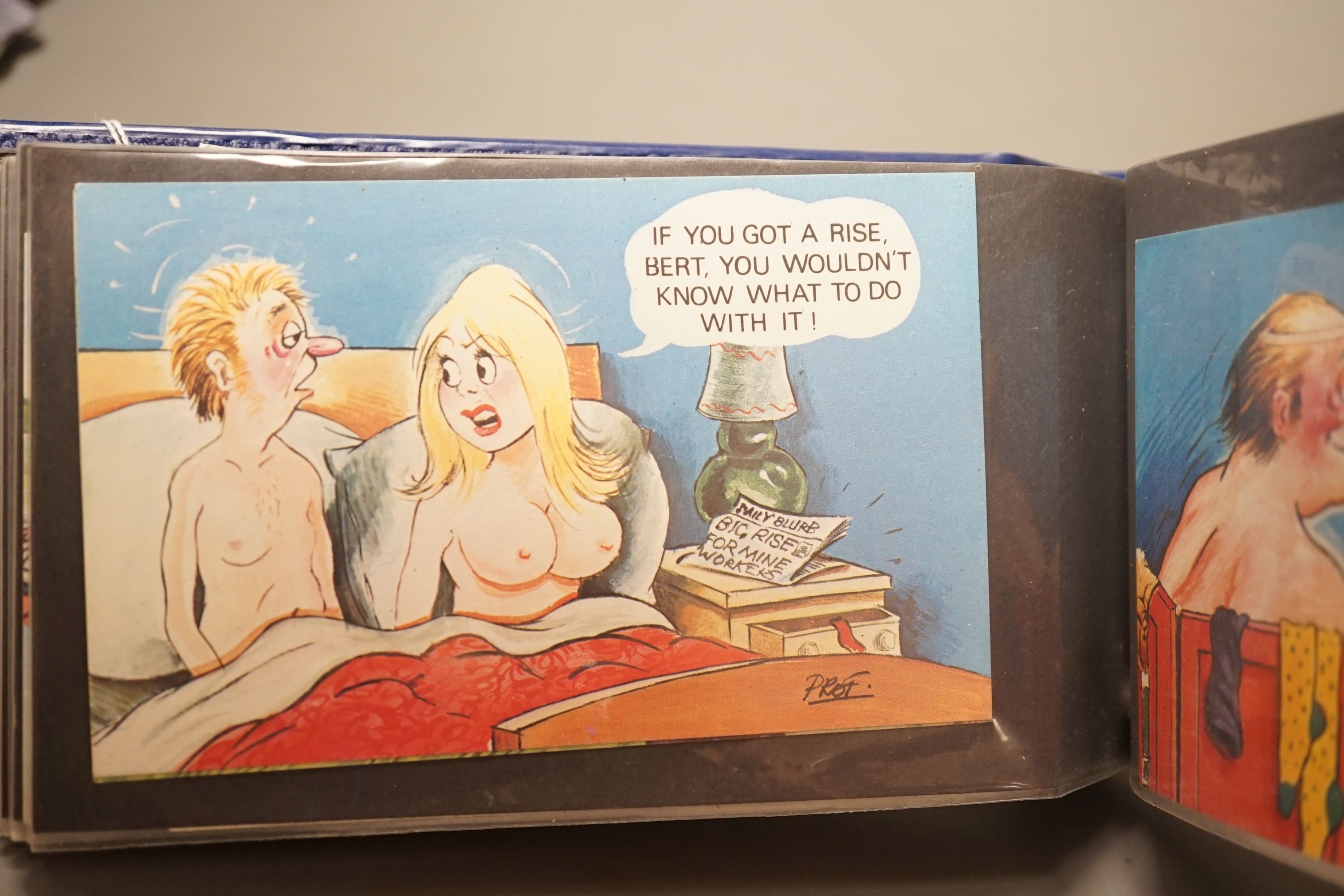 An album of 1970s cartoon saucy Seaside postcards